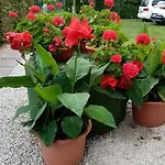 Am By Interhome Appartement Balatonmáriafürdő