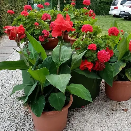 Am By Interhome Apartment Balatonmariafurdo