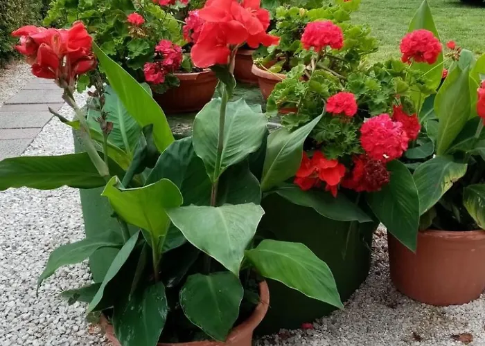 Am By Interhome Apartment Balatonmariafurdo